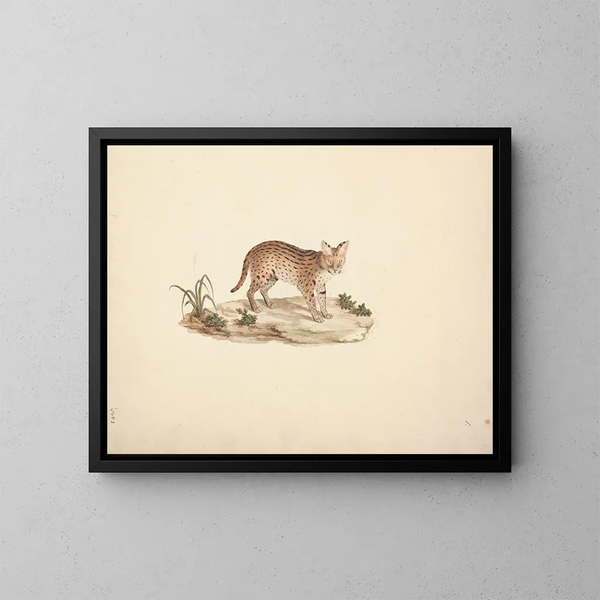 Wilde Afrikaanse kat of serval - Luigi Balugani — ingelijst kunstwerk aan de muur