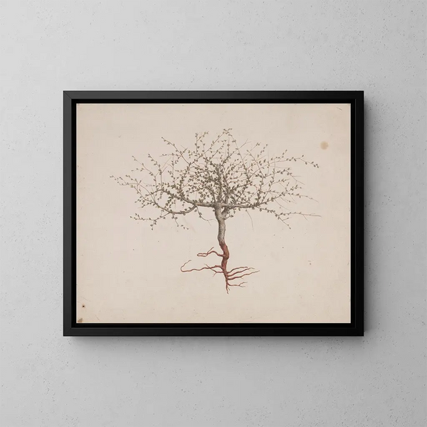 Baume de Galaad - Luigi Balugani — ingelijst kunstwerk aan de muur
