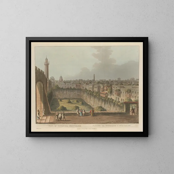 Bassin de Bethesda à Jérusalem - Luigi Mayer — ingelijst kunstwerk aan de muur