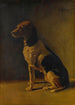 Hond zittend - M Gurcin | Reproduction — ingelijst kunstwerk aan de muur