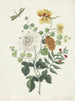 Natuurstilleven met bloemen - Machtelt Moninckx — weergave van het kunstwerk