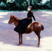 Mademoiselle Meuriot sur son poney - Jacquesmile Blanche — weergave van het kunstwerk