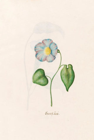 Magdelena Rosina Funck - Spanish klock.webp