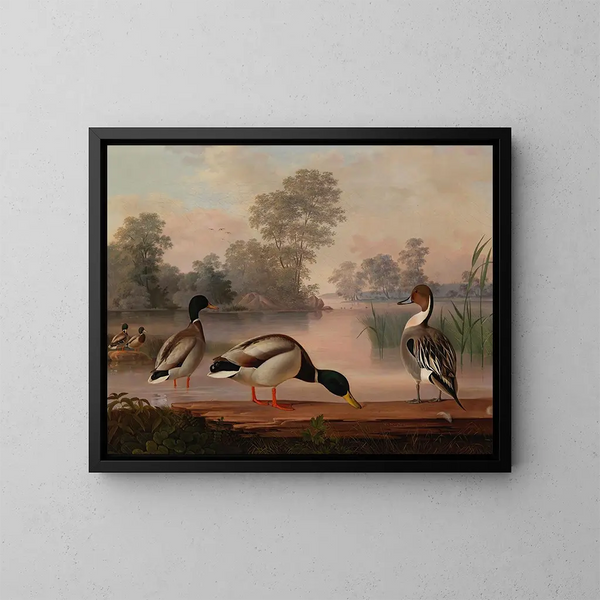 Canards - Magnus von Wright — framed artwork on a wall
