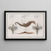 L 2 Pegasus Draconis De Zeegod van de Zee 3 Syngnathus Hippocampus De zeepaard - Marcus Elieser Bloch — ingelijst kunstwerk aan de muur