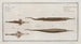 2 Syngnathus Biaculeatus, the double-spined trumpetfish 3 Pegasus Natans, the swimmer - Marcus Elieser Bloch — artwork view