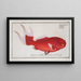 Cyprinus macrophthalmus le télescope - Marcus Elieser Bloch — framed artwork on a wall