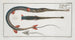 Fistularia tabacaria, the trumpetfish - Marcus Elieser Bloch — artwork view