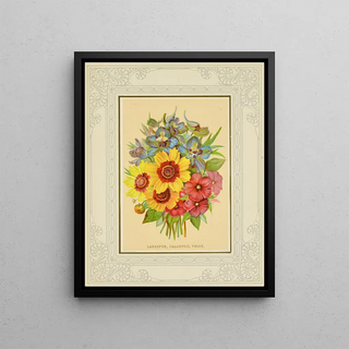 Marcus Ward Co - Larkspur Calliopsis Phlox.webp