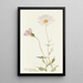 Xylorrhiza tortifolia - Margaret Armstrong — framed artwork on a wall