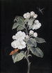 Appelbloesem - Margaretha Barbara Dietzsch — weergave van het kunstwerk