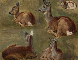 Maria KlassKazanowska - Sketches of fawns.webp