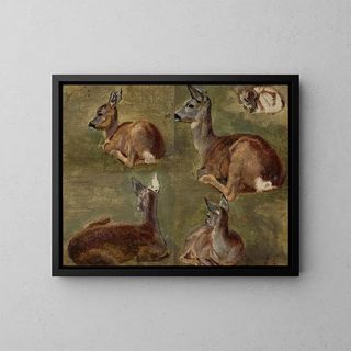 Maria KlassKazanowska - Sketches of fawns.webp