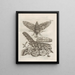 The Miraculous Transformation of Caterpillars and the Strange Food of Flowers Pl076 - Maria Sibylla Merian — framed artwork on a wall