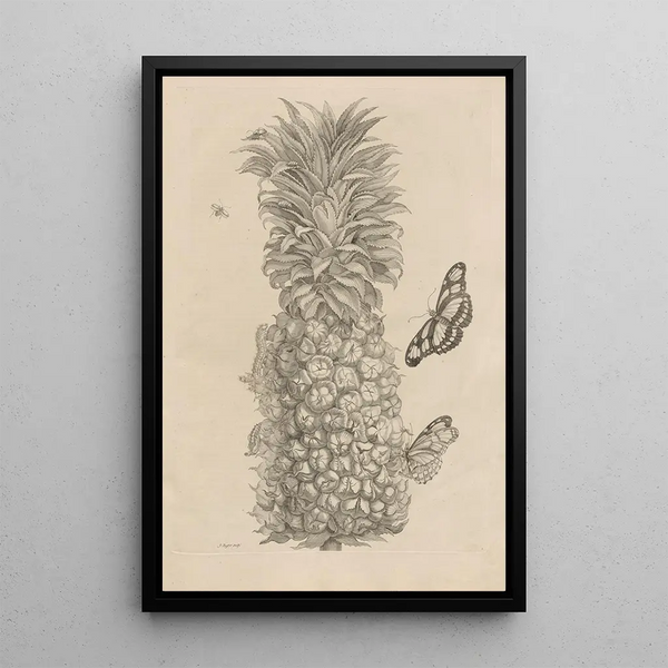 Dissertation on the generation and metamorphoses of insects from Suriname Pl02 - Maria Sibylla Merian — framed artwork on a wall