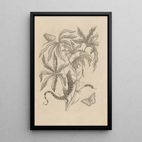 Dissertation on the generation and metamorphoses of insects from Suriname Pl04 - Maria Sibylla Merian — framed artwork on a wall