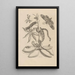 Dissertation sur la génération et les métamorphoses des insectes du Surinam Pl05 - Maria Sibylla Merian — ingelijst kunstwerk aan de muur