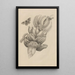 Dissertation sur la génération et les métamorphoses des insectes du Surinam Pl12 - Maria Sibylla Merian — ingelijst kunstwerk aan de muur