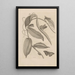 Dissertation sur la génération et les métamorphoses des insectes du Surinam Pl25 - Maria Sibylla Merian — ingelijst kunstwerk aan de muur