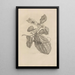 Dissertation sur la génération et les métamorphoses des insectes du Surinam Pl28 - Maria Sibylla Merian — ingelijst kunstwerk aan de muur
