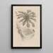 Dissertatio de generatione et metamorphoses des insectes surinamens Pl40 - Maria Sibylla Merian — ingelijst kunstwerk aan de muur
