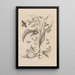 Dissertatio de generatione et metamorphoses des insectes surinamens Pl41 - Maria Sibylla Merian — ingelijst kunstwerk aan de muur