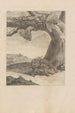 Dissertatio de generatione et metamorphoses des insectes surinamens Pl66 - Maria Sibylla Merian — weergave van het kunstwerk