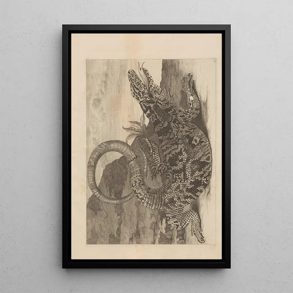 Dissertatio de generatione et metamorphoses des insectes surinamens Pl70 - Maria Sibylla Merian — ingelijst kunstwerk aan de muur