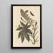 Dissertation sur la génération et les transformations des insectes de Surinam Pl06 - Maria Sibylla Merian — ingelijst kunstwerk aan de muur