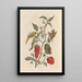 Dissertation sur la génération et les transformations des insectes de Surinam Pl15 - Maria Sibylla Merian — ingelijst kunstwerk aan de muur
