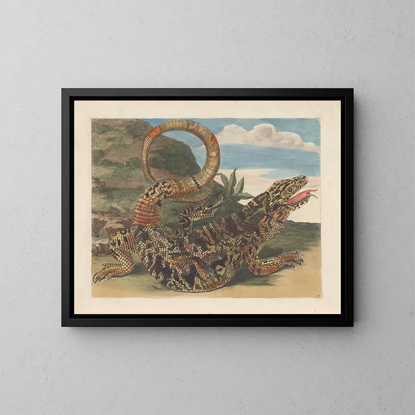 Dissertation sur la génération et les transformations des insectes du Surinam Pl21 - Maria Sibylla Merian — ingelijst kunstwerk aan de muur