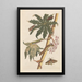 Dissertation sur la génération et les transformations des insectes de Surinam Pl30 - Maria Sibylla Merian — ingelijst kunstwerk aan de muur