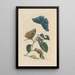 Dissertation sur la génération et les transformations des insectes de Surinam Pl51 - Maria Sibylla Merian — ingelijst kunstwerk aan de muur