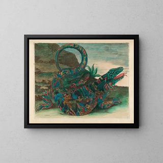 Maria Sibylla Merian - Sauvegarde.webp