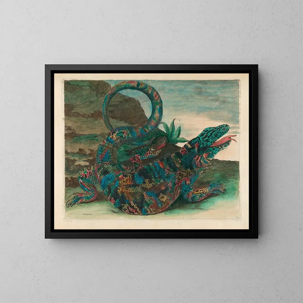 Sauvegarde - Maria Sibylla Merian — ingelijst kunstwerk aan de muur