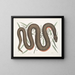 Een Recinoïdes en de schors van Ilathera, Anguis en de koperkleurige buikslang - Mark Catesby — ingelijst kunstwerk aan de muur