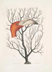 Caput Phoenicopteri Le bec du flamant dans ses dimensions complètes Keratophyton c - Mark Catesby — weergave van het kunstwerk