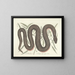 Afbeeldingen van vissen, slangen, insecten en andere dieren evenals bepaalde planten Pl046 - Mark Catesby — ingelijst kunstwerk aan de muur