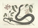 van een schilderij met afbeeldingen van vissen, slangen, insecten en andere dieren, evenals bepaalde planten Pl048 - Mark Catesby — weergave van het kunstwerk
