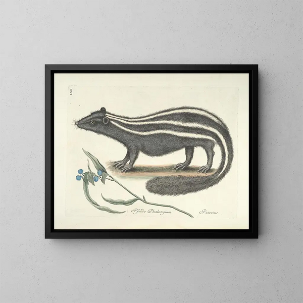 Afbeeldingen van vissen, slangen, insecten en andere dieren evenals van bepaalde planten Pl062 - Mark Catesby — ingelijst kunstwerk aan de muur