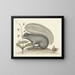 Afbeeldingen van vissen, slangen, insecten en andere dieren evenals van bepaalde planten Pl074 - Mark Catesby — ingelijst kunstwerk aan de muur