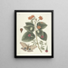 van Poissons, serpents, insectes et quelques autres animaux, ainsi que quelques images de plantes Pl091 - Mark Catesby — ingelijst kunstwerk aan de muur