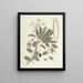 van Poissons, serpents, insectes et quelques autres animaux, ainsi que quelques images de plantes Pl093 - Mark Catesby — ingelijst kunstwerk aan de muur