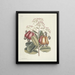van Poissons, serpents, insectes et quelques autres animaux, ainsi que quelques photos de plantes Pl105 - Mark Catesby — ingelijst kunstwerk aan de muur