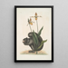 L Sciurus Niger Kunstdruk L'Écureuil Noir Calceolus Le Sabot de Vénus - Mark Catesby — ingelijst kunstwerk aan de muur