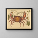 De landkrab Cancer ruricola - Mark Catesby — ingelijst kunstwerk aan de muur