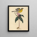 De mezenvogel - Mark Catesby — ingelijst kunstwerk aan de muur