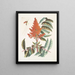 Guêpe ichneumon tripilis pennsylvanien Rhus glabrum Panicula speciosa crimson - Mark Catesby — ingelijst kunstwerk aan de muur
