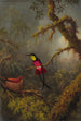 Een paar toperazinnen in karmozijnrode topazen broedend - Martin Johnson Heade — weergave van het kunstwerk