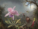 Orchidee Cattleya en drie kolibries - Martin Johnson Heade — weergave van het kunstwerk